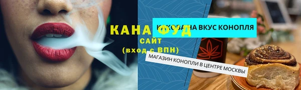 мдпв Магас