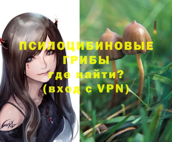 сатива Майский