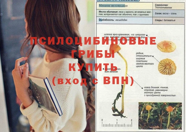 сатива Майский