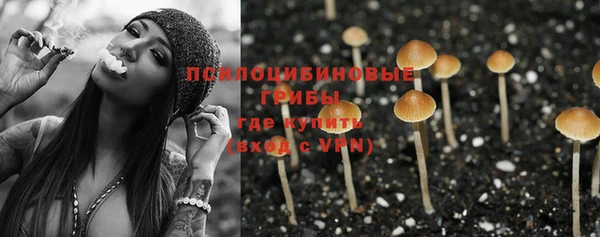сатива Майский