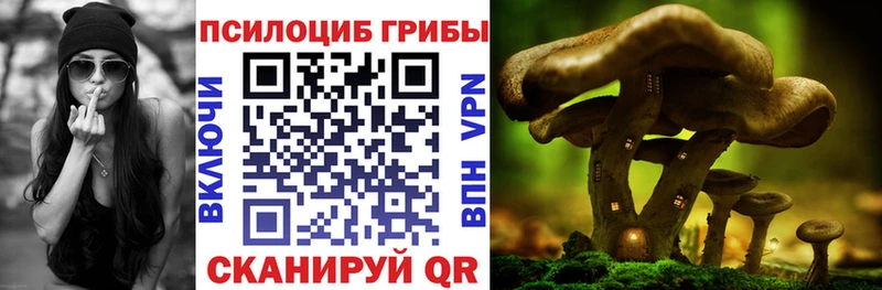 купить  сайты  это формула  Псилоцибиновые грибы Magic Shrooms  Новочеркасск 