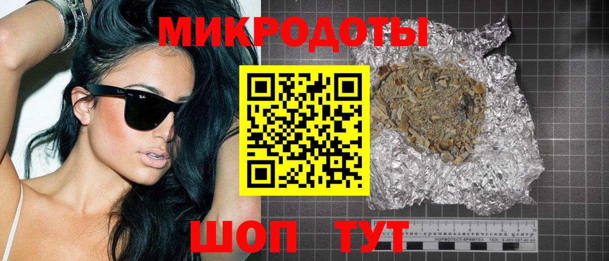 Псилоцибиновые грибы Psilocybe Новочеркасск