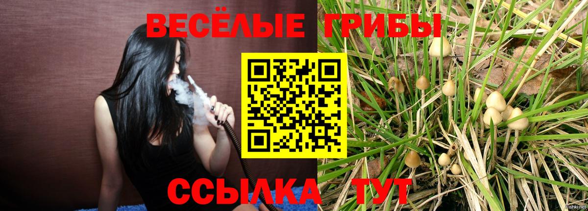 Псилоцибиновые грибы ЛСД  Вход с VPN  Новочеркасск 